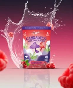 CANNADELICS MICRODOSE GUMMIES | RASPBERRY