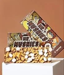 Mr Mushies S’mores